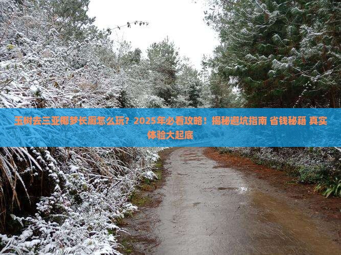 玉树去三亚椰梦长廊必玩地