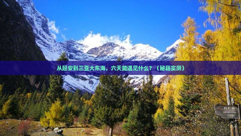 延安前往三亚大东海六日游