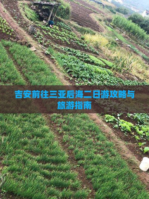 吉安前往三亚后海二日游