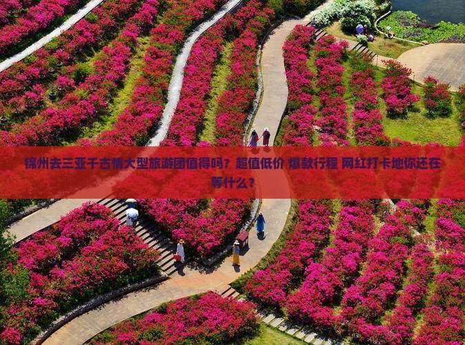 锦州去三亚千古情大型旅游团