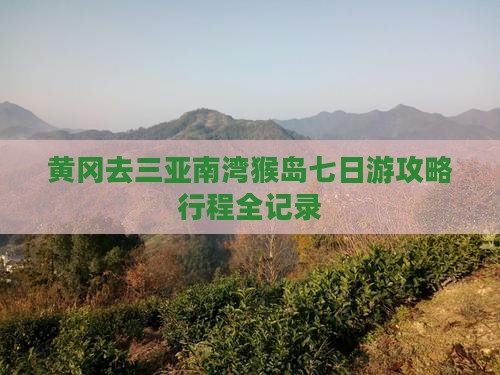 黄冈去三亚南湾猴岛七日游