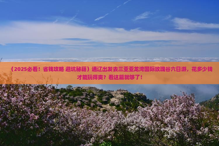 通辽去三亚亚龙湾国际玫瑰谷六日游