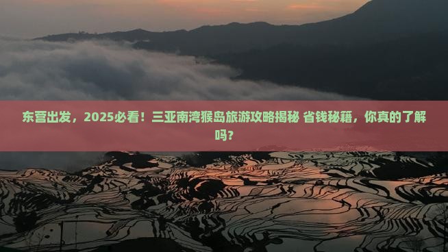 东营前往三亚南湾猴岛旅游网红地点