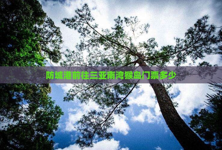 防城港前往三亚南湾猴岛门票