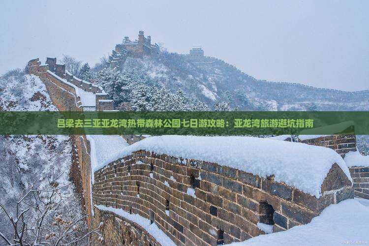 吕梁去三亚亚龙湾热带森林公园七日游