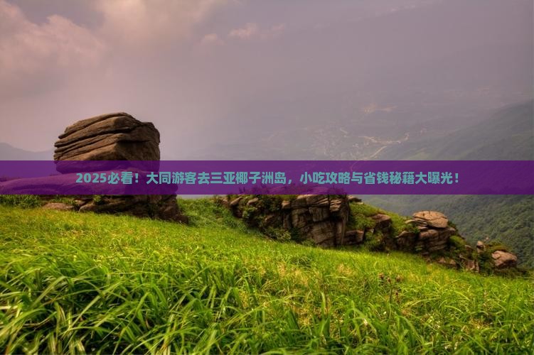 大同去三亚椰子洲岛旅游小吃