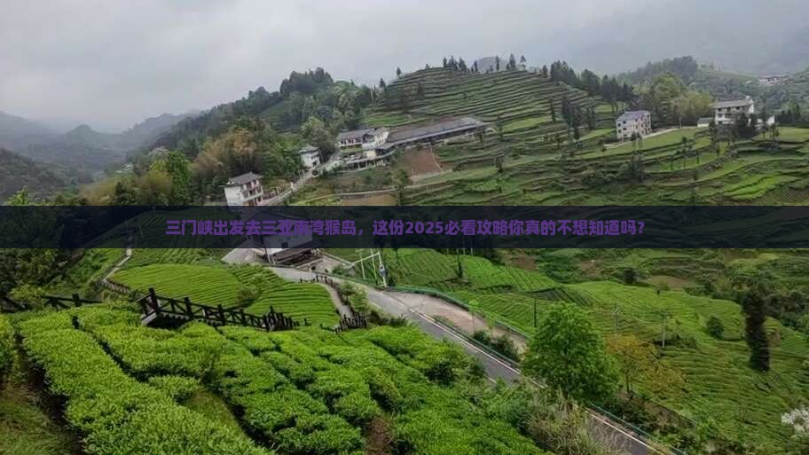 三门峡前往三亚南湾猴岛旅游网红地点
