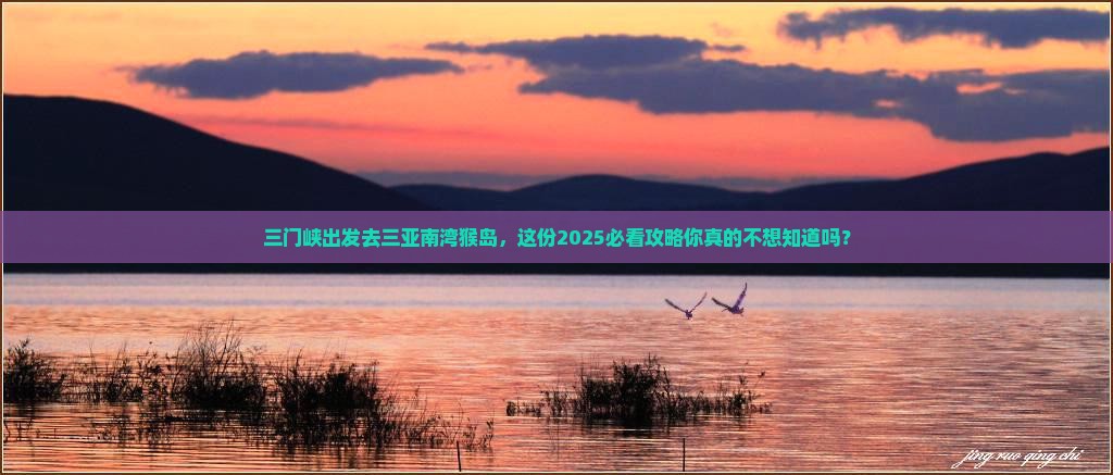 三门峡前往三亚南湾猴岛旅游网红地点