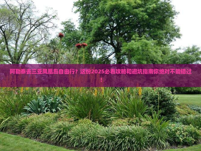 阿勒泰去三亚凤凰岛自由行 阿勒泰去三亚凤凰岛自由行