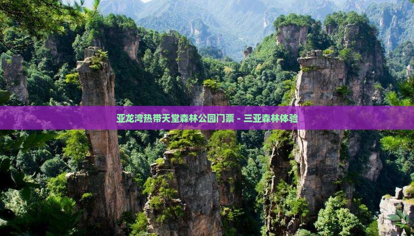 黄石去三亚亚龙湾热带森林公园门票