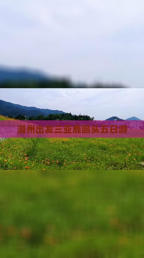 潮州出发三亚鹿回头五日游