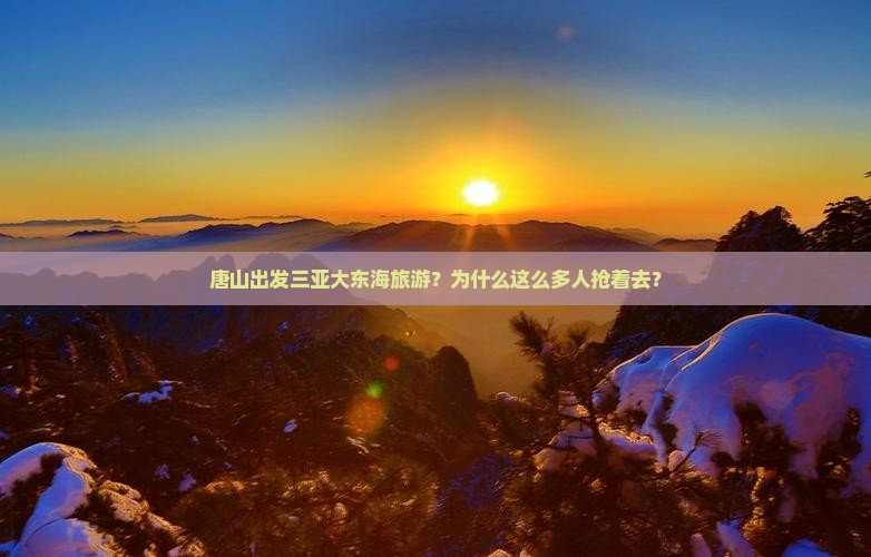 唐山出发三亚大东海旅游