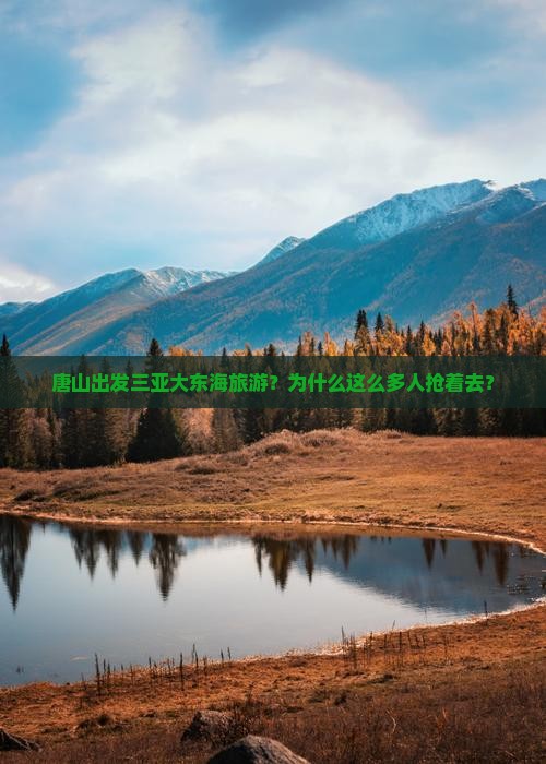 唐山出发三亚大东海旅游