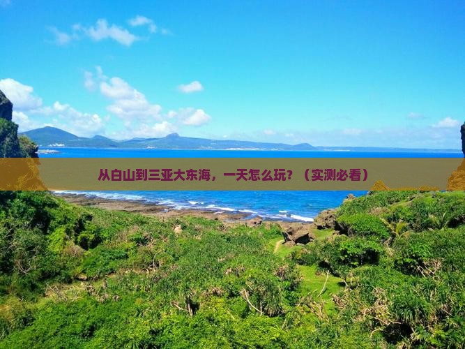 白山去三亚大东海一日游