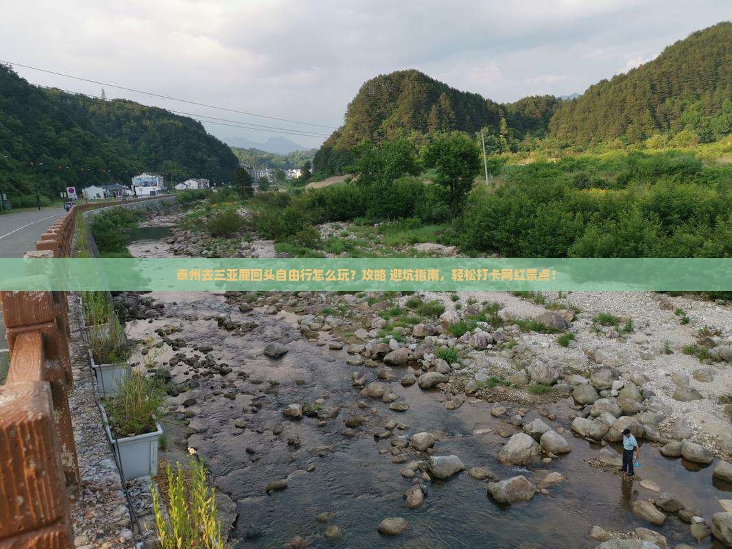 泰州去三亚鹿回头自由行