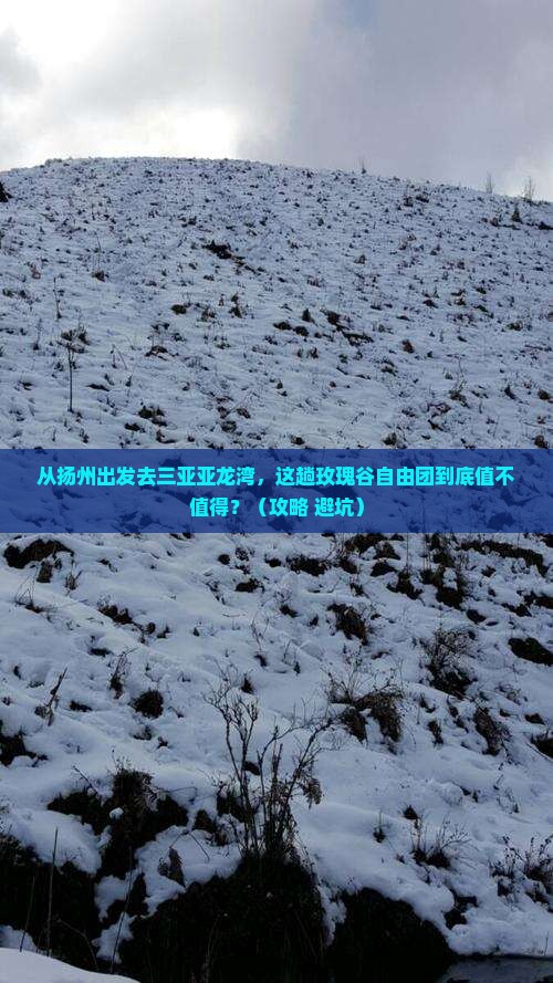 扬州出发三亚亚龙湾国际玫瑰谷自由团