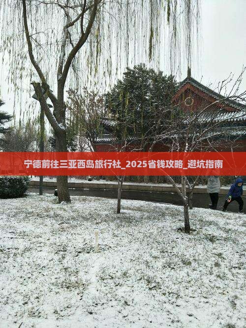 宁德前往三亚西岛旅行社