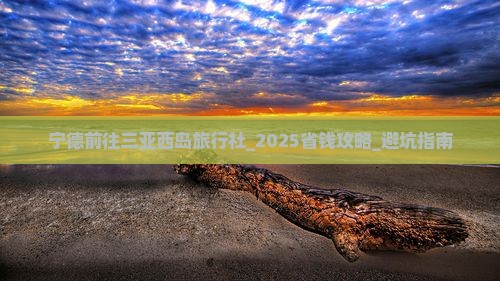 宁德前往三亚西岛旅行社