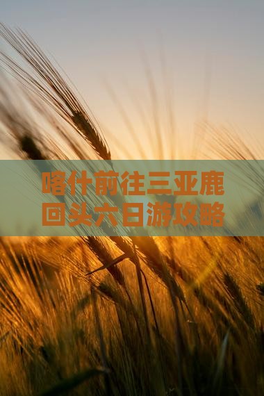 喀什前往三亚鹿回头六日游