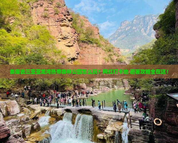 娄底前往三亚亚龙湾热带森林公园旅游网红地点