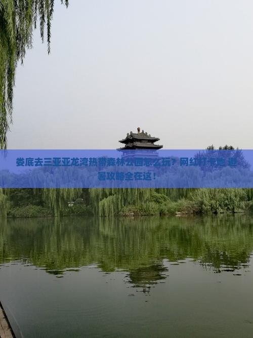 娄底前往三亚亚龙湾热带森林公园旅游网红地点