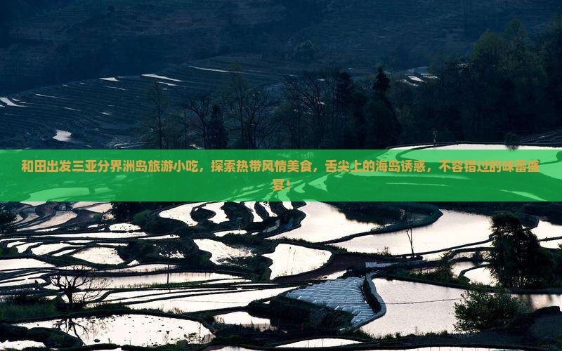 和田出发三亚分界洲岛旅游小吃