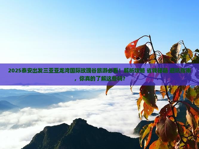 泰安出发三亚亚龙湾国际玫瑰谷旅游