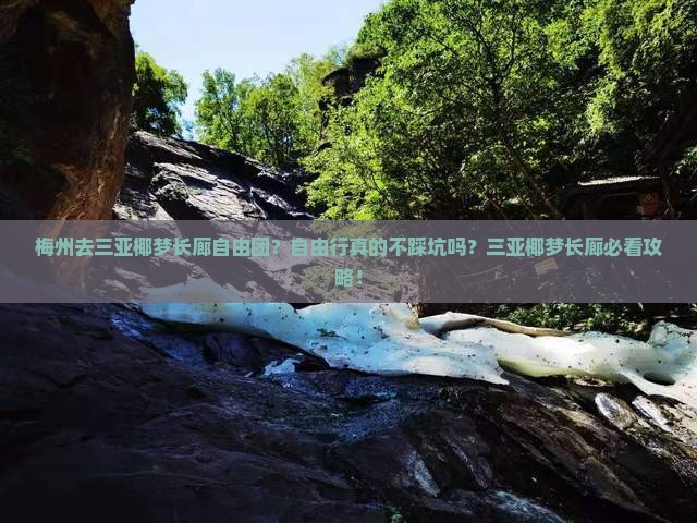 梅州去三亚椰梦长廊自由团