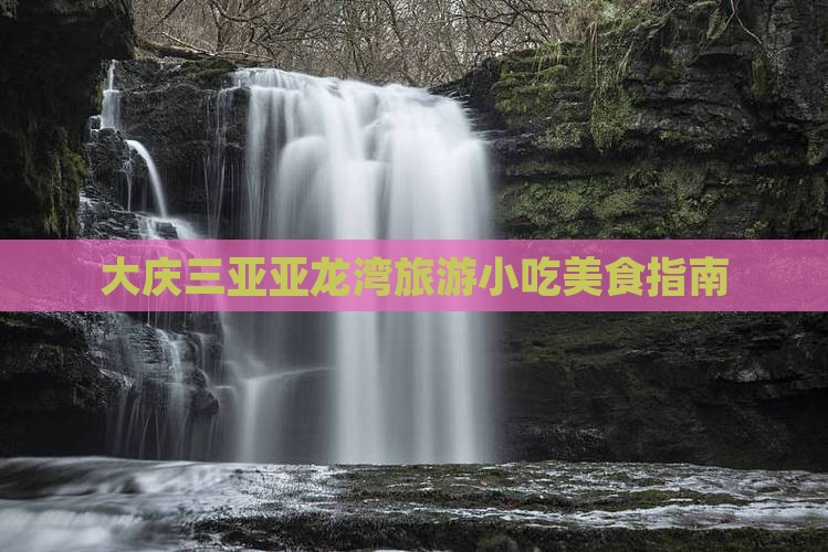 大庆去三亚亚龙湾旅游小吃