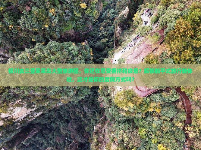 银川去三亚呆呆岛大型旅游团