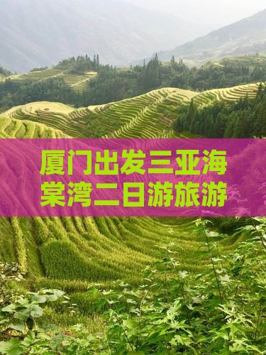 厦门出发三亚海棠湾二日游 厦门出发三亚海棠湾二日游
