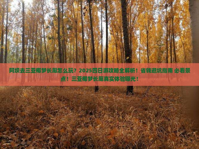 阿坝前往三亚椰梦长廊四日游