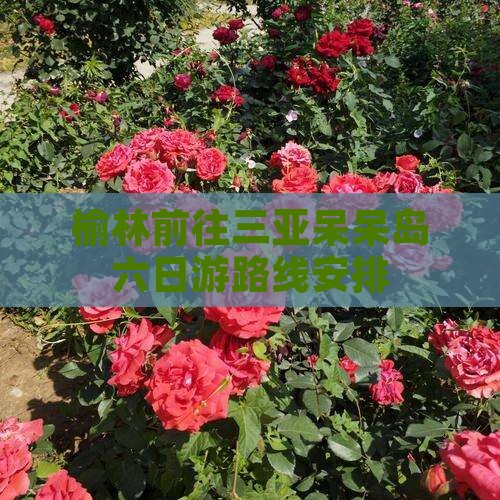 榆林前往三亚呆呆岛六日游 榆林前往三亚呆呆岛六日游