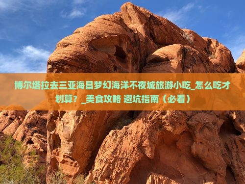 博尔塔拉去三亚海昌梦幻海洋不夜城旅游小吃