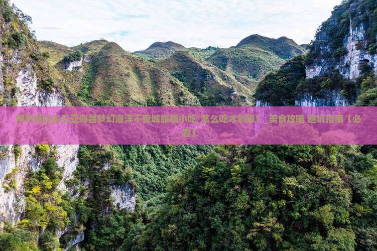 博尔塔拉去三亚海昌梦幻海洋不夜城旅游小吃