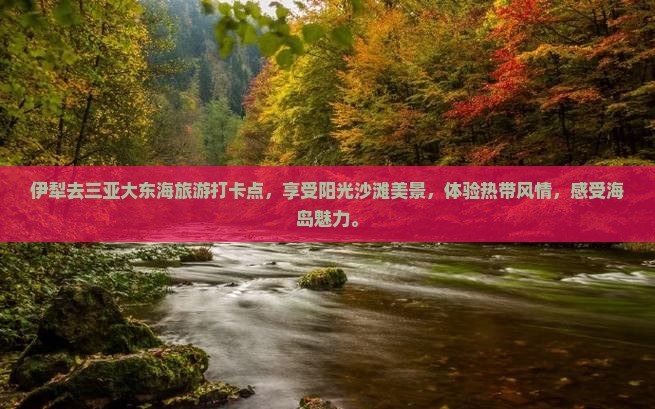 伊犁去三亚大东海旅游打卡点