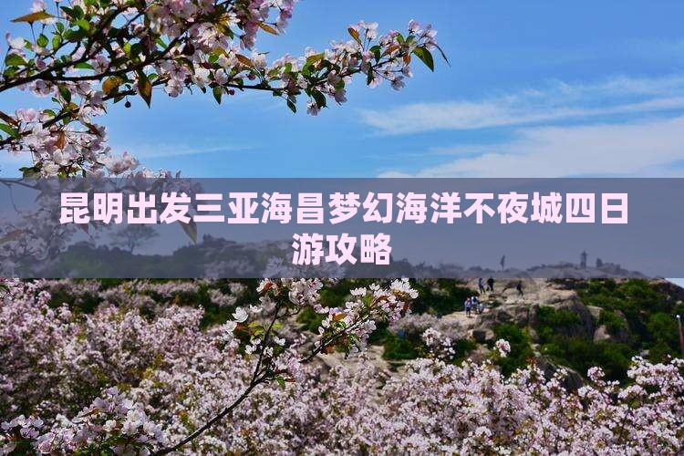 昆明出发三亚海昌梦幻海洋不夜城四日游