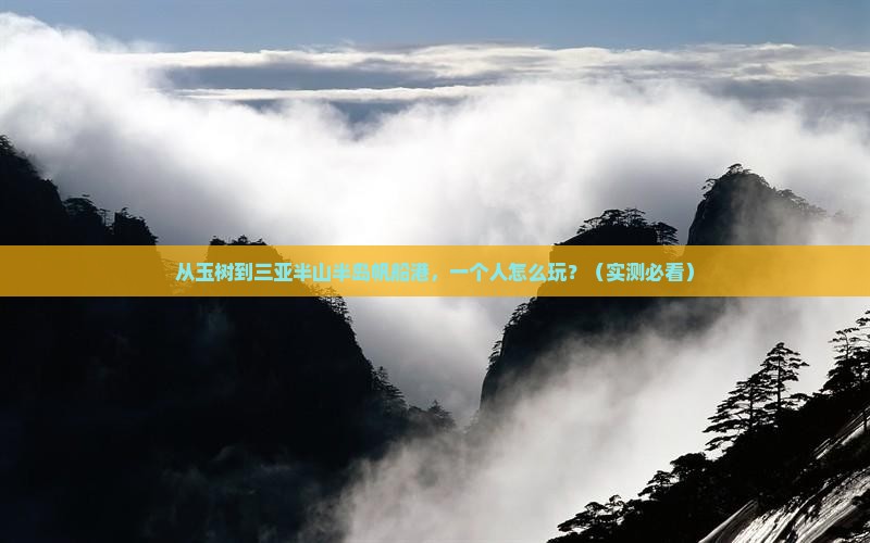 玉树去三亚半山半岛帆船港个人游