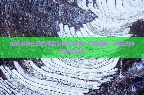 衡水出发三亚凤凰岭公园七日游