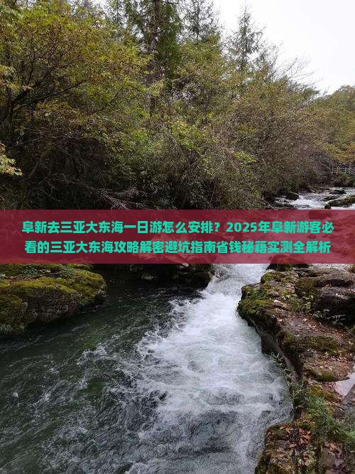 阜新去三亚大东海一日游