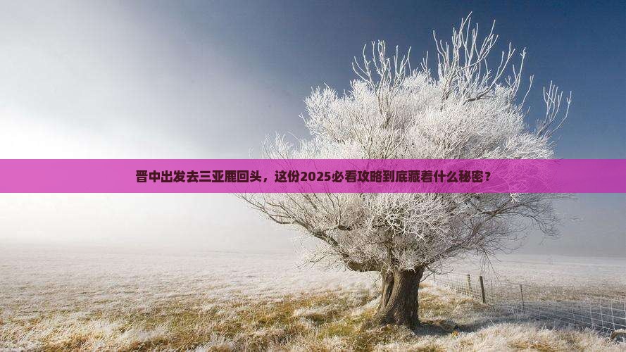 晋中前往三亚鹿回头团体旅游