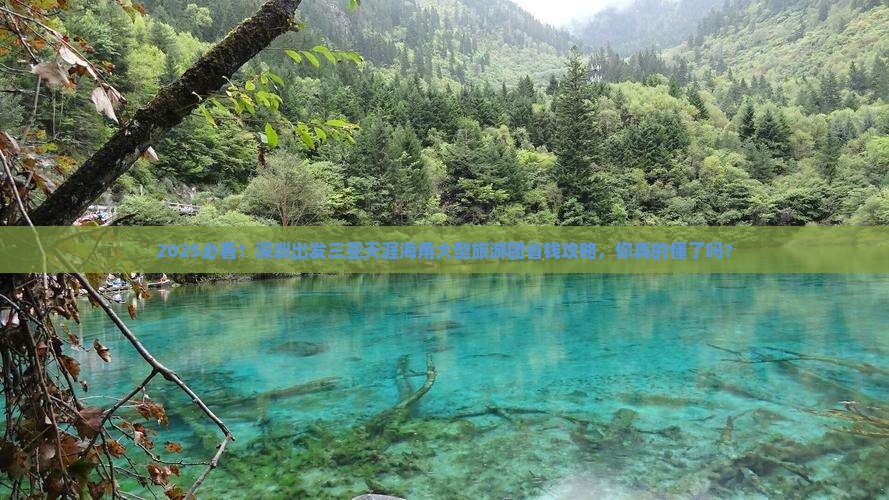 深圳出发三亚天涯海角大型旅游团