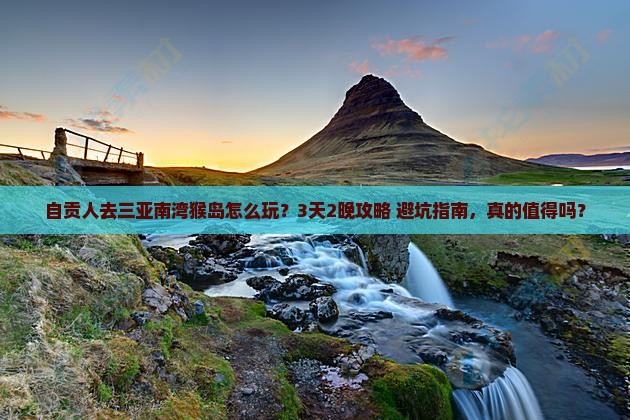 自贡去三亚南湾猴岛旅行社