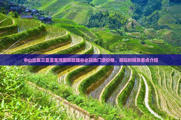 中山出发三亚亚龙湾国际玫瑰谷必玩地