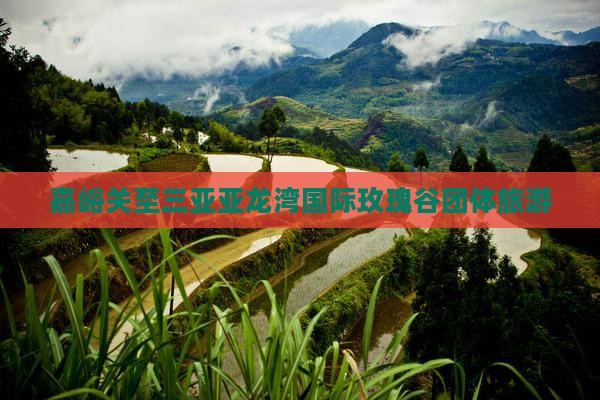 嘉峪关去三亚亚龙湾国际玫瑰谷团体旅游