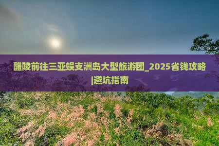 醴陵前往三亚蜈支洲岛大型旅游团