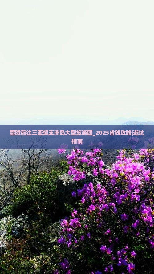 醴陵前往三亚蜈支洲岛大型旅游团