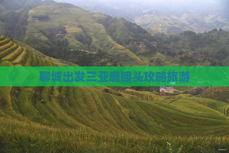 聊城出发三亚鹿回头自由行