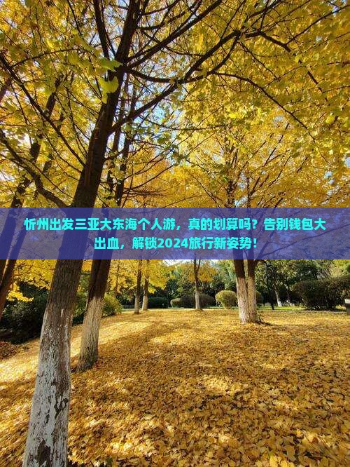 忻州出发三亚大东海个人游