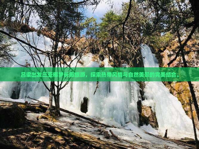 吕梁出发三亚椰梦长廊旅游